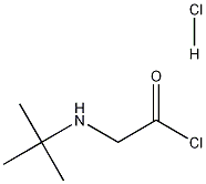 N-叔丁基甘氨酰氯盐酸盐CAS915725-52-9